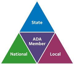 Power of 3 Triangle